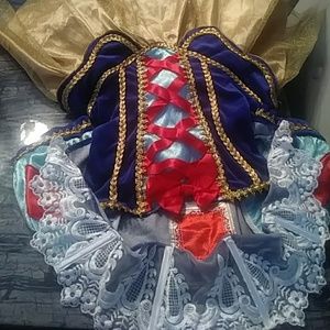 Cosplay Cinderella dress